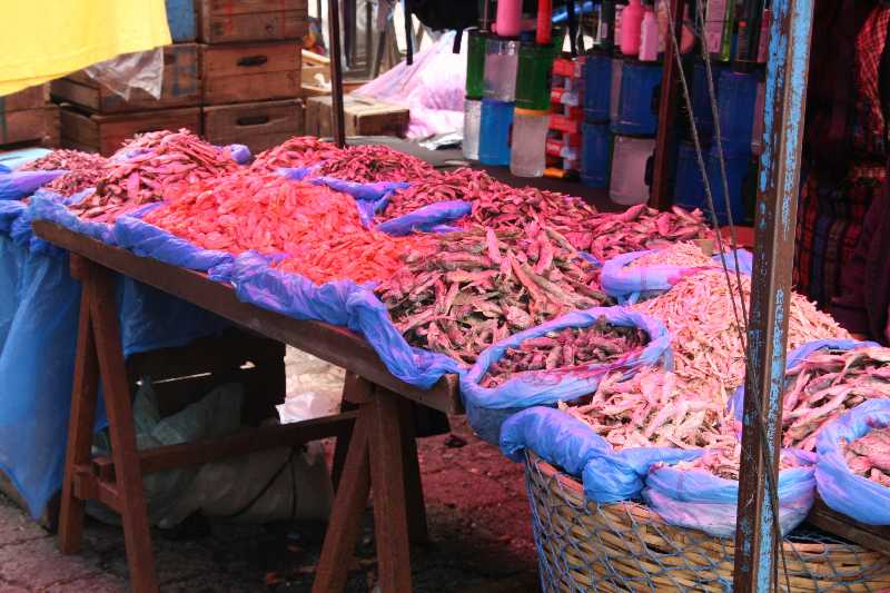 Mexico & Guatemala 2010 - 0672